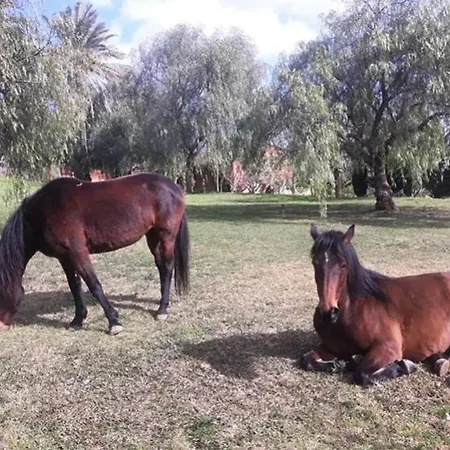 Séjour à la campagne Colle San Mauro *